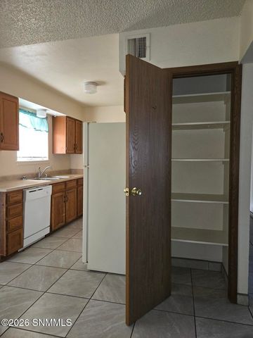 1235 Birch Drive, Las Cruces, NM 88001