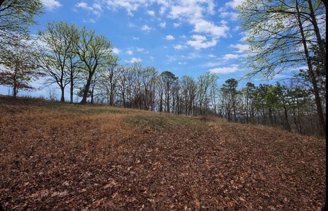39 Old Highway 149, Erin, TN 37061