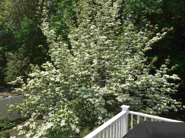 14 Loren Road, Salem, NH 03079