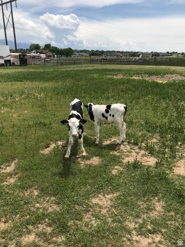 3041 W 3600 S, West Haven, UT 84401