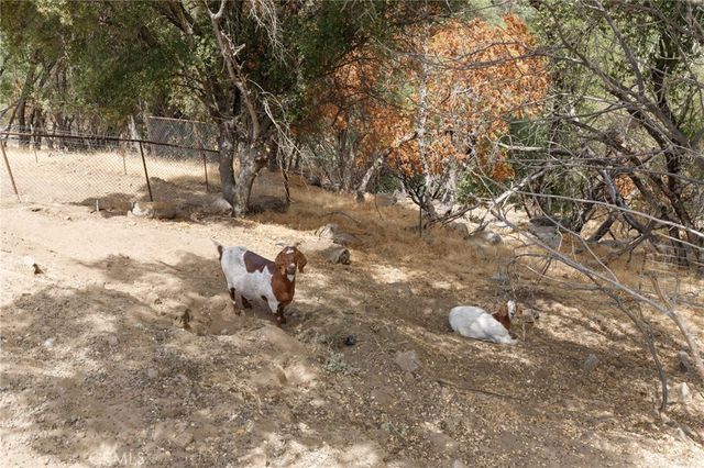 53777 Road 200, O'neals, CA 93645