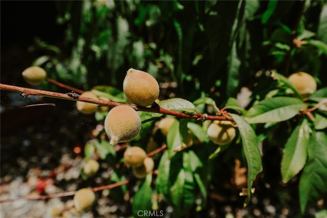 601 Casa Blanca, Fullerton, CA 92832