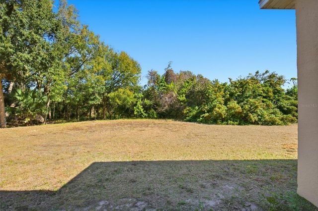 8557 DEER CHASE DRIVE, Riverview, FL 33578