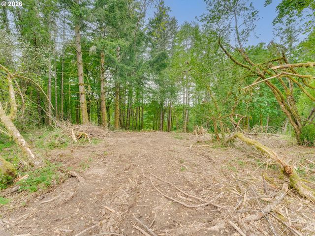 0 Nw 314th Cir 50, Ridgefield, WA 98642
