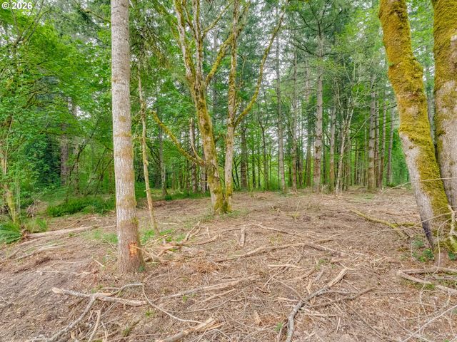 0 Nw 314th Cir 50, Ridgefield, WA 98642