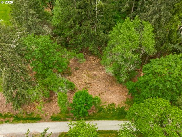 0 Nw 314th Cir 50, Ridgefield, WA 98642
