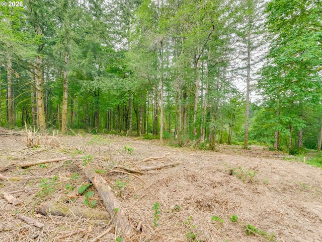 0 Nw 314th Cir 50, Ridgefield, WA 98642