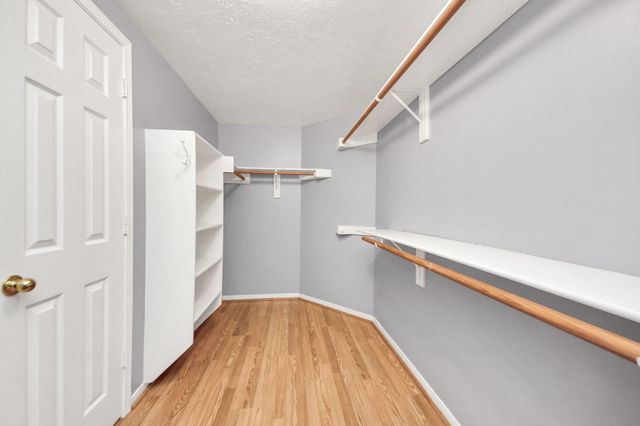 3526 Spruce Needle Drive, Houston, TX 77082