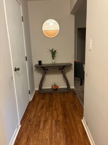 15805 Peggy Lane 6, Oak Forest, IL 60452