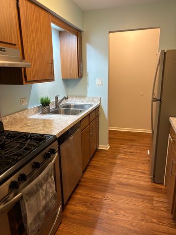 15805 Peggy Lane 6, Oak Forest, IL 60452