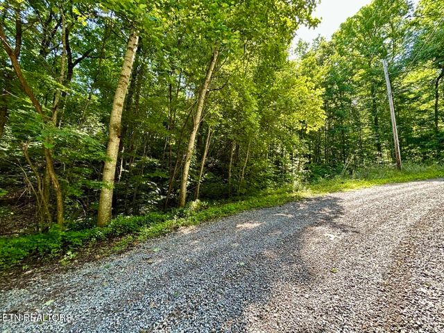 TBD Grand Country Drive, Cosby, TN 37722