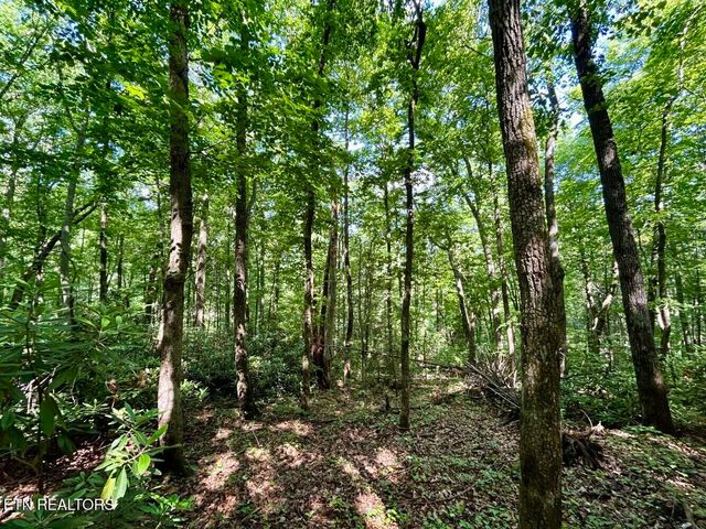 TBD Grand Country Drive, Cosby, TN 37722