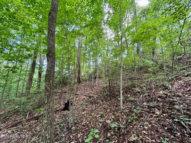 TBD Grand Country Drive, Cosby, TN 37722