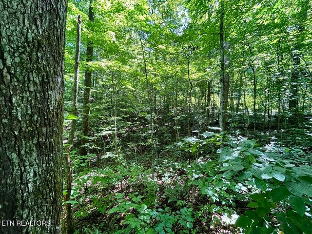 TBD Grand Country Drive, Cosby, TN 37722