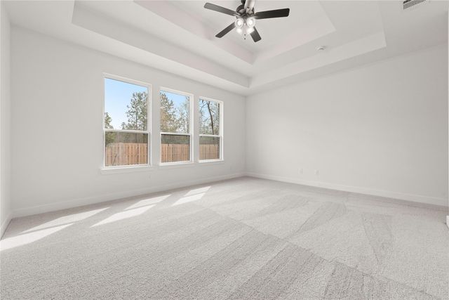 41723 Big Red Drive, Montgomery, TX 77316