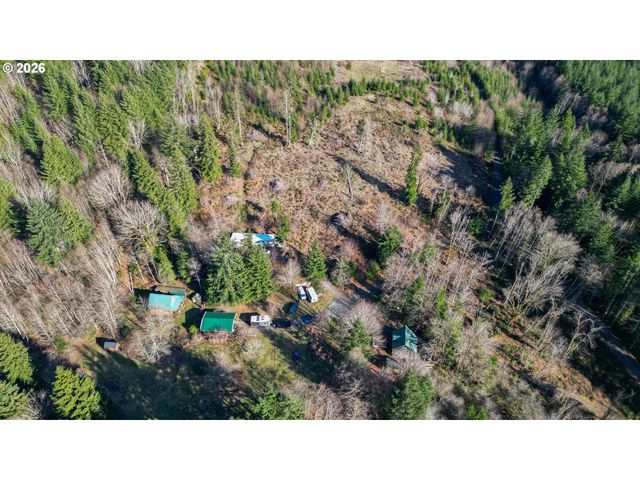 43911 Ne COLUMBIA TIE Rd, Amboy, WA 98601