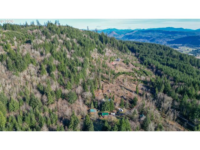 43911 Ne COLUMBIA TIE Rd, Amboy, WA 98601