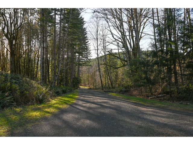 43911 Ne COLUMBIA TIE Rd, Amboy, WA 98601