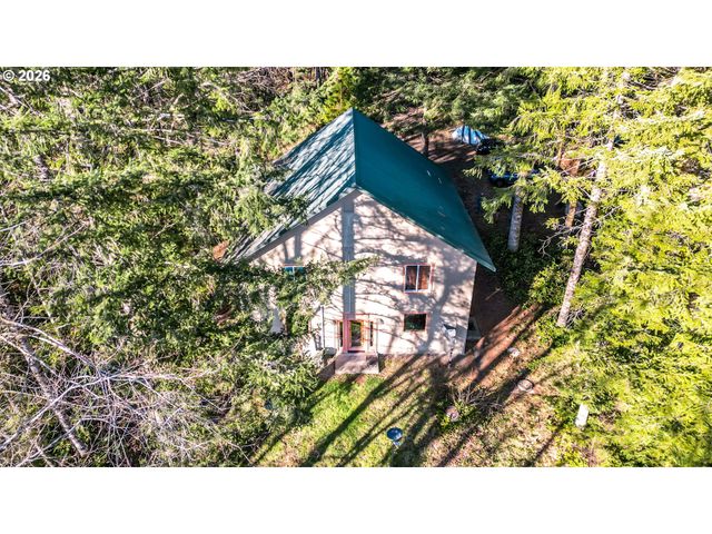 43911 Ne COLUMBIA TIE Rd, Amboy, WA 98601