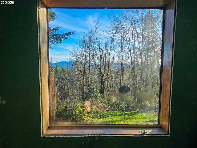 43911 Ne COLUMBIA TIE Rd, Amboy, WA 98601