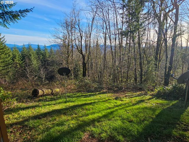 43911 Ne COLUMBIA TIE Rd, Amboy, WA 98601