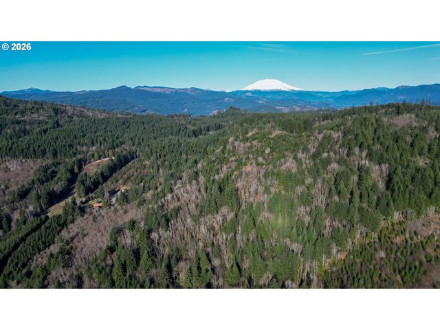 43911 Ne COLUMBIA TIE Rd, Amboy, WA 98601