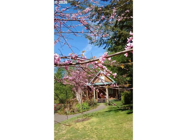 43911 Ne COLUMBIA TIE Rd, Amboy, WA 98601