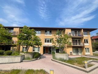 2460 W Talcott Road 220, Park Ridge, IL 60068