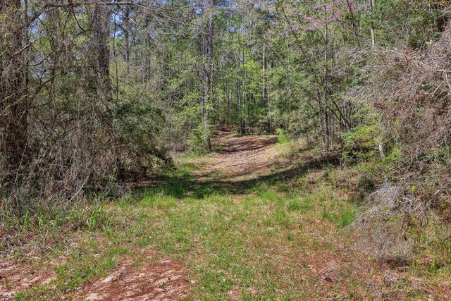 250 Critter Creek Road, Coldspring, TX 77331