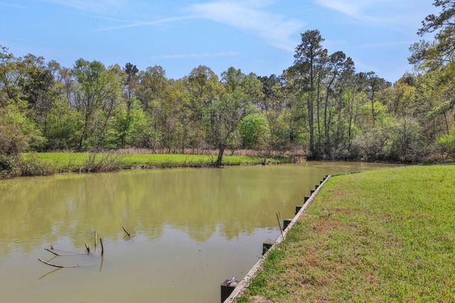 250 Critter Creek Road, Coldspring, TX 77331