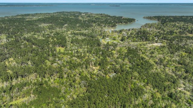 250 Critter Creek Road, Coldspring, TX 77331