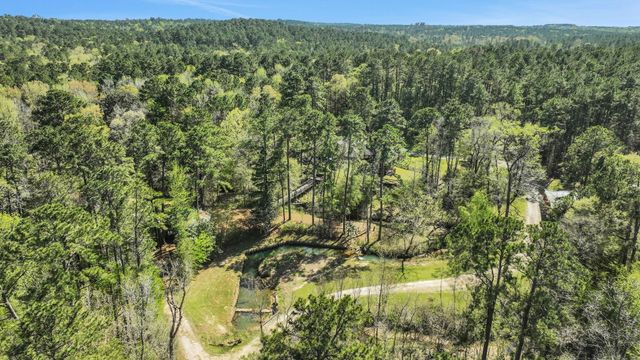 250 Critter Creek Road, Coldspring, TX 77331