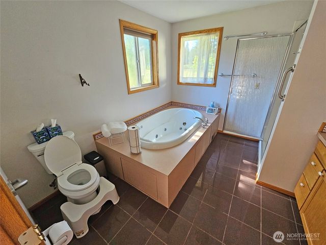 17103 Camas Run Lane SW, Rochester, WA 98579
