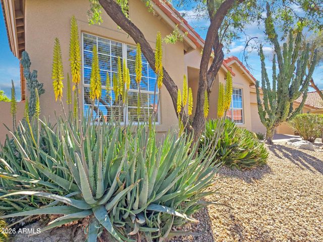 23831 N 74TH Street, Scottsdale, AZ 85255