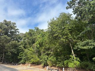 000 Fall Creek Road, Branson, MO 65616