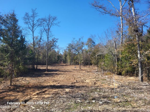 00 NW Tommy Tucker Road Lot 1, Altha, FL 32421