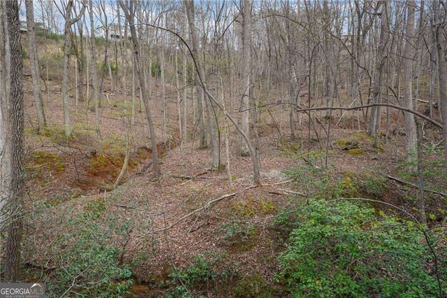 41A&42 Madeline Anthony Road, Dahlonega, GA 30533