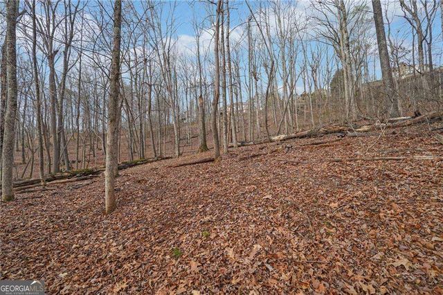 41A&42 Madeline Anthony Road, Dahlonega, GA 30533