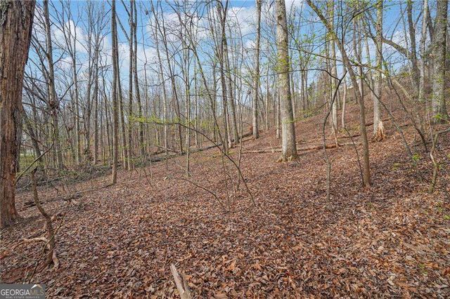 41A&42 Madeline Anthony Road, Dahlonega, GA 30533