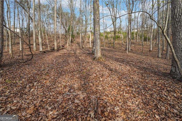 41A&42 Madeline Anthony Road, Dahlonega, GA 30533