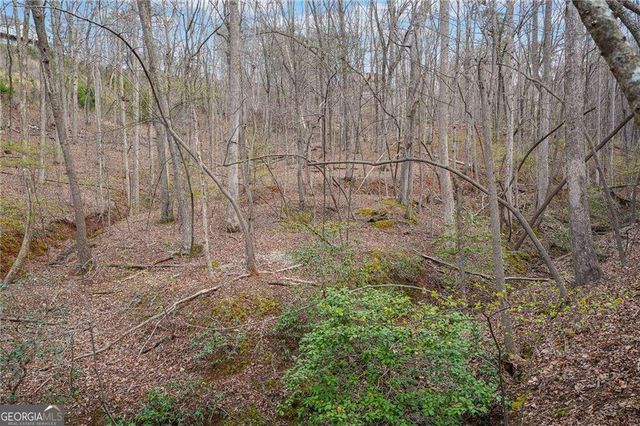 41A&42 Madeline Anthony Road, Dahlonega, GA 30533