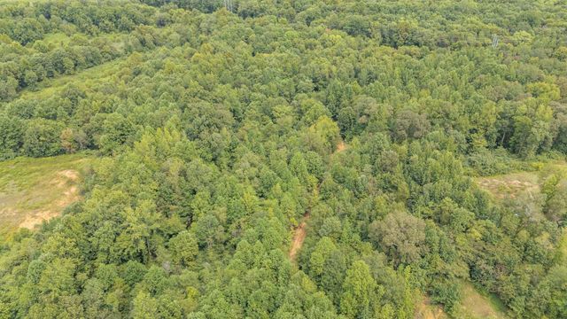 365 TURNBOW LN, Crump, TN 38327