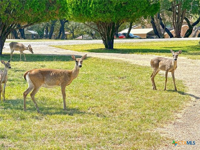 1002 Bleu Spur, Copperas Cove, TX 76522