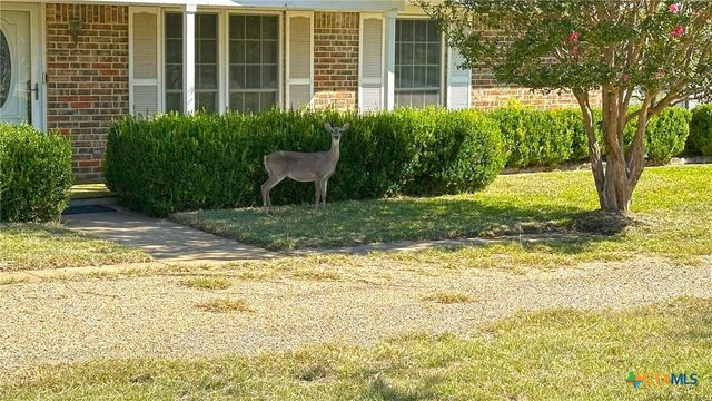 1002 Bleu Spur, Copperas Cove, TX 76522