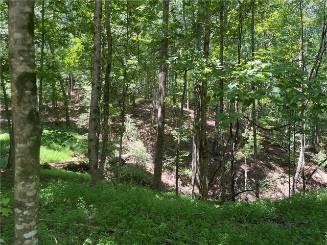 0 S Twin Oaks Drive, Ellijay, GA 30540