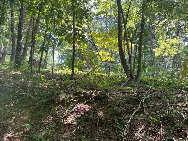 0 S Twin Oaks Drive, Ellijay, GA 30540