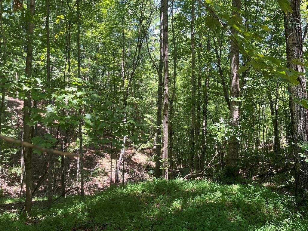 0 S Twin Oaks Drive, Ellijay, GA 30540