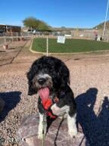 650 N Hawes Road 4830, Mesa, AZ 85207