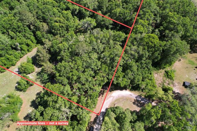 SE 164TH TERRACE, Williston, FL 32696