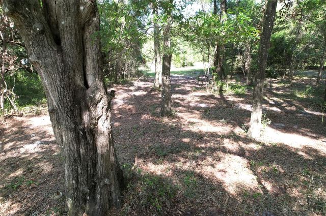 SE 164TH TERRACE, Williston, FL 32696